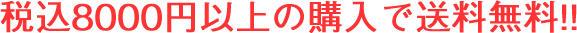 税込8000円以上の購入で送料無料サービス！！